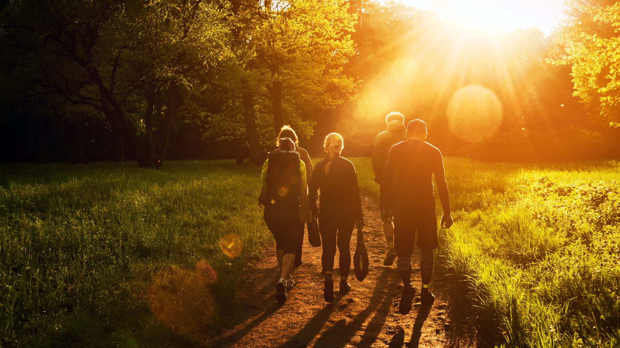 wandelcoach